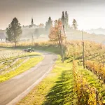 Pensionat Taverna & Wine Jeruzalem