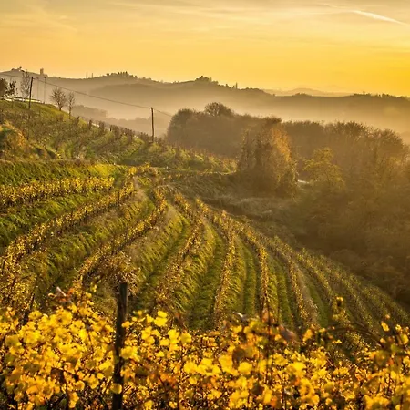 Taverna & Wine Jeruzalem