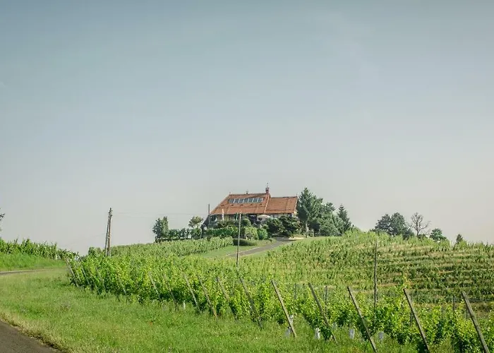 Taverna & Wine Jeruzalem Guest house 3*