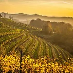 Taverna & Wine Jeruzalem