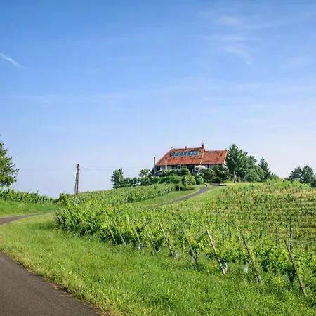 Taverna & Wine Jeruzalem Affittacamere Ivanjkovci