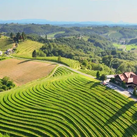 Gasthuis Taverna & Wine Jeruzalem