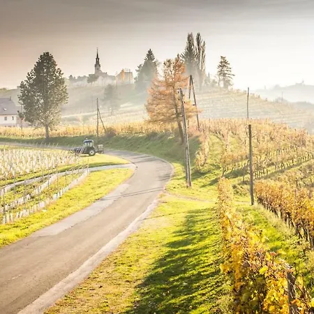 Gasthuis Taverna & Wine Jeruzalem