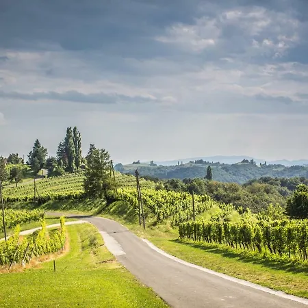 Taverna & Wine Jeruzalem 3* Ivanjkovci