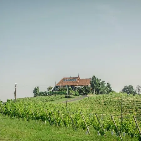 Taverna & Wine Jeruzalem Penzion *