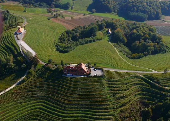 Taverna & Wine Jeruzalem 3* Ivanjkovci