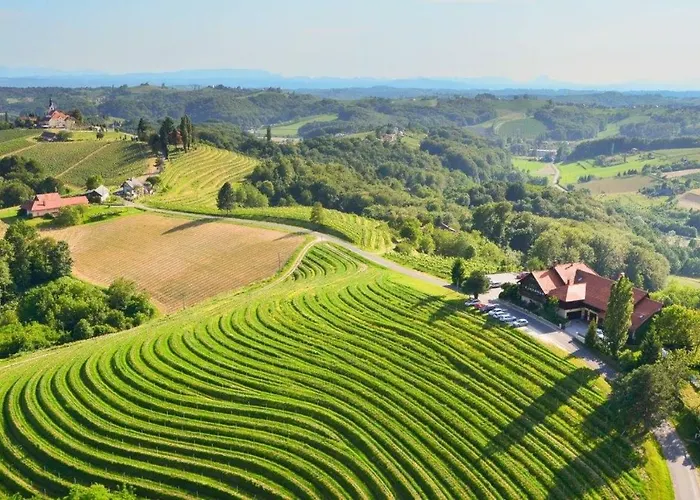 Guest house Taverna & Wine Jeruzalem