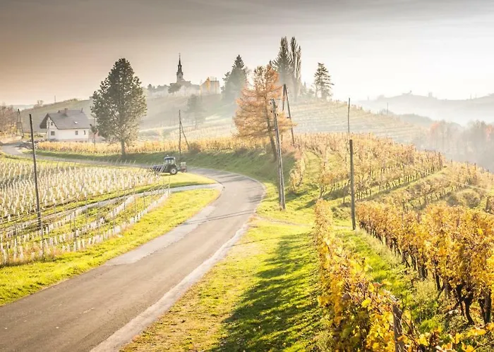 Hiša za goste Taverna & Wine Jeruzalem