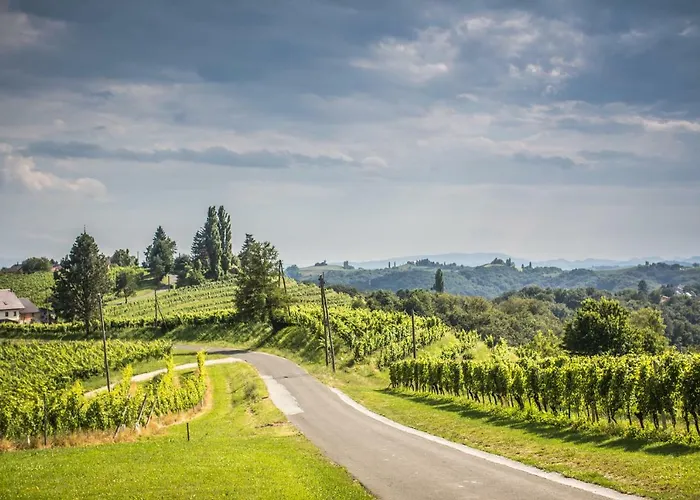 Taverna & Wine Jeruzalem 3* Ivanjkovci