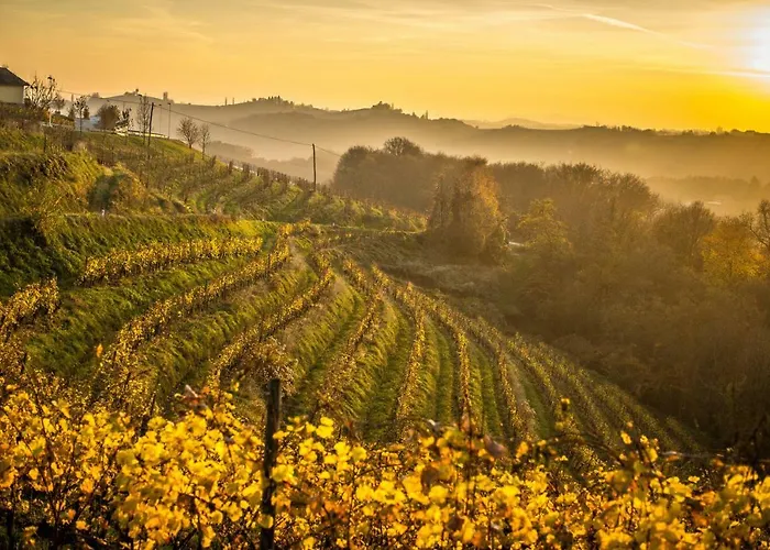 Taverna & Wine Jeruzalem